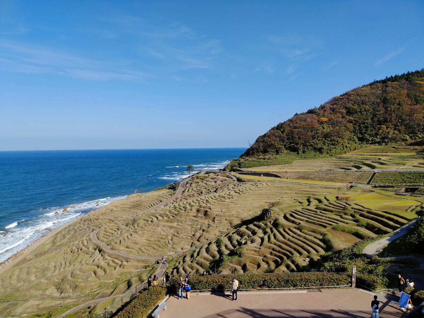 今日の白米千枚田 | 能登輪島つづり
