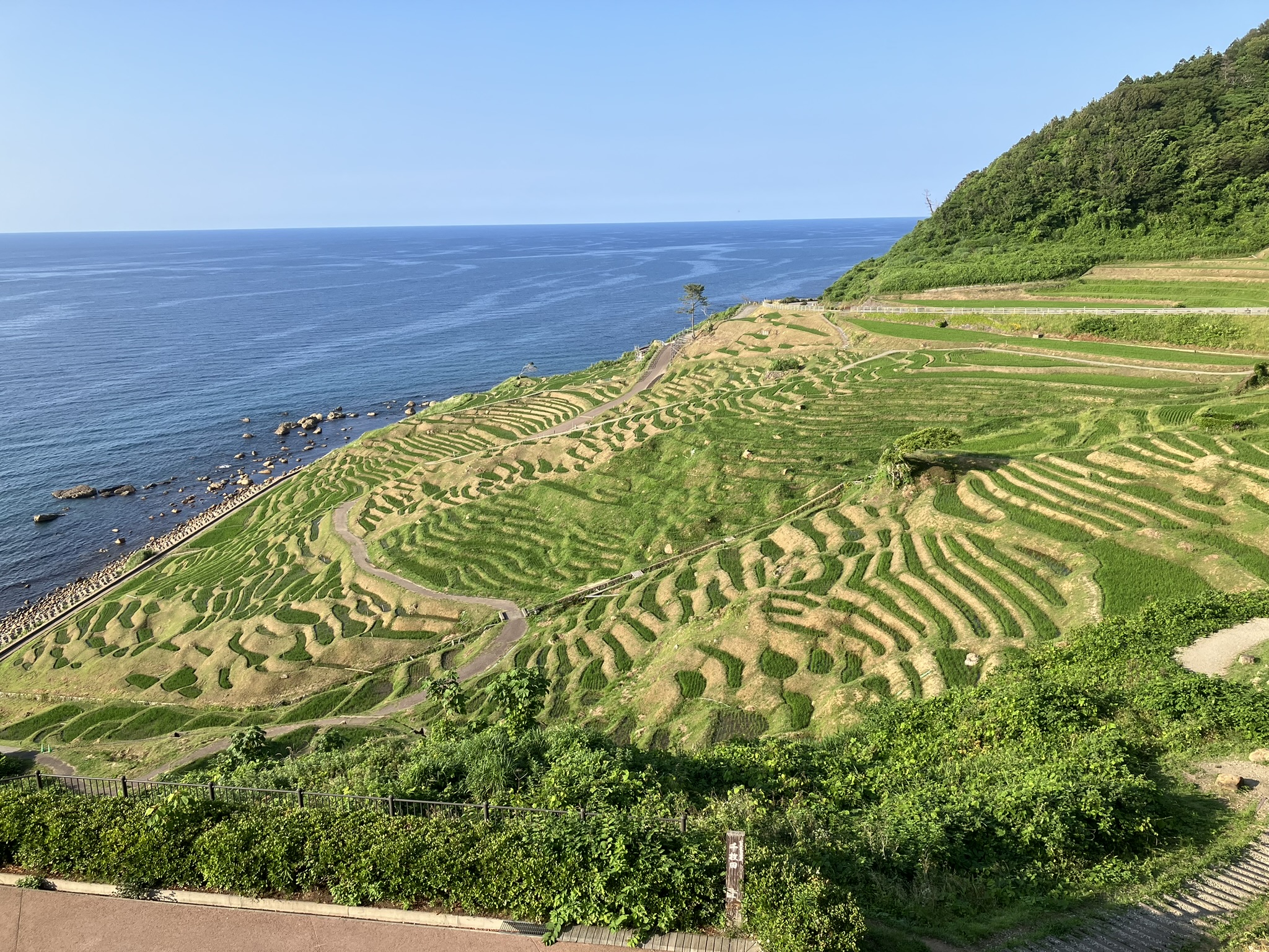 輪島・白米千枚田 あぜのきらめき – 輪島・白米千枚田 あぜのきらめきの動画 – WIUTT